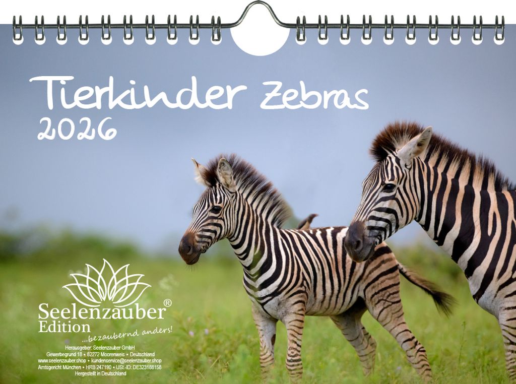 Tierkinder Zebras DIN A5 Kalender für 2026 Zebra - Seelenzauber