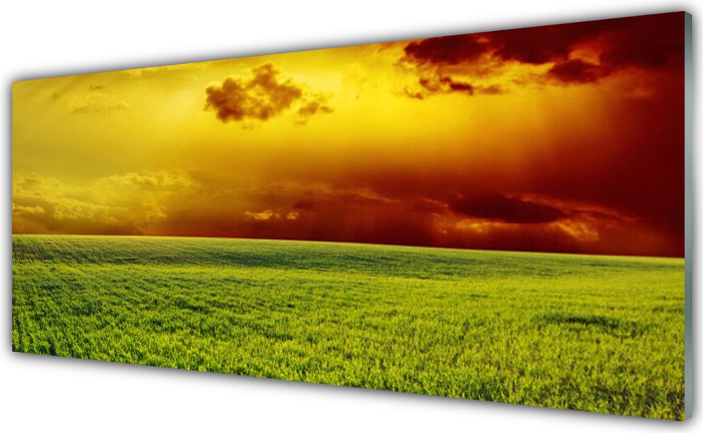 Küchenrückwand aus Glas 125x50cm Spritzschutz Acker Landschaft