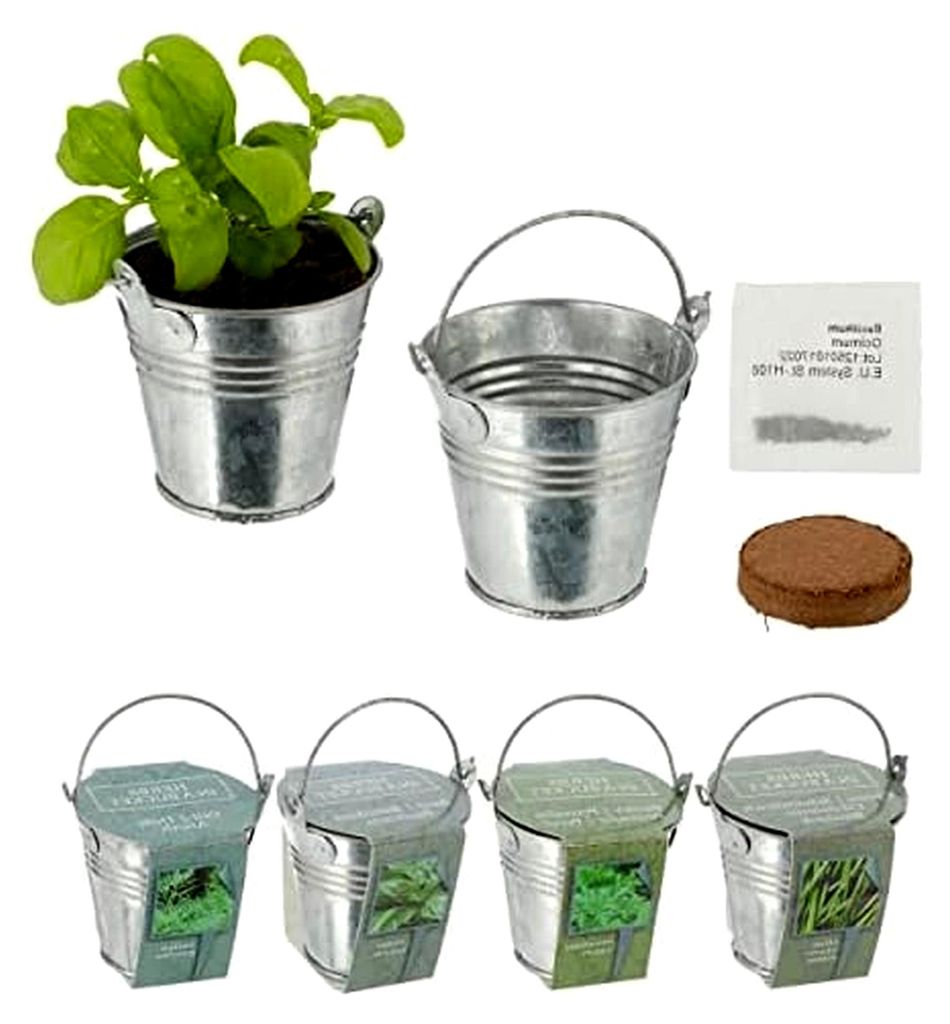 Anzuchtset für Küchenkräuter im Zinkeimer mit Samen