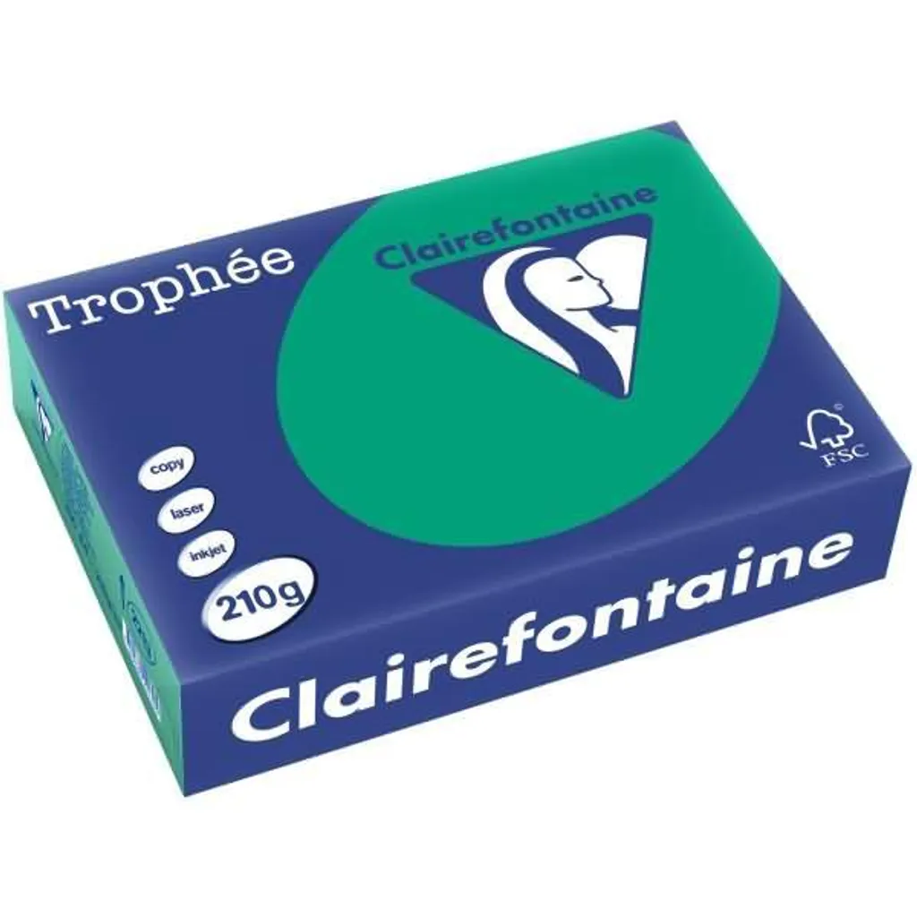 Papier Impression Couleur A4 Vert Sapin Trophée - 250 Feuilles Clairefontaine
