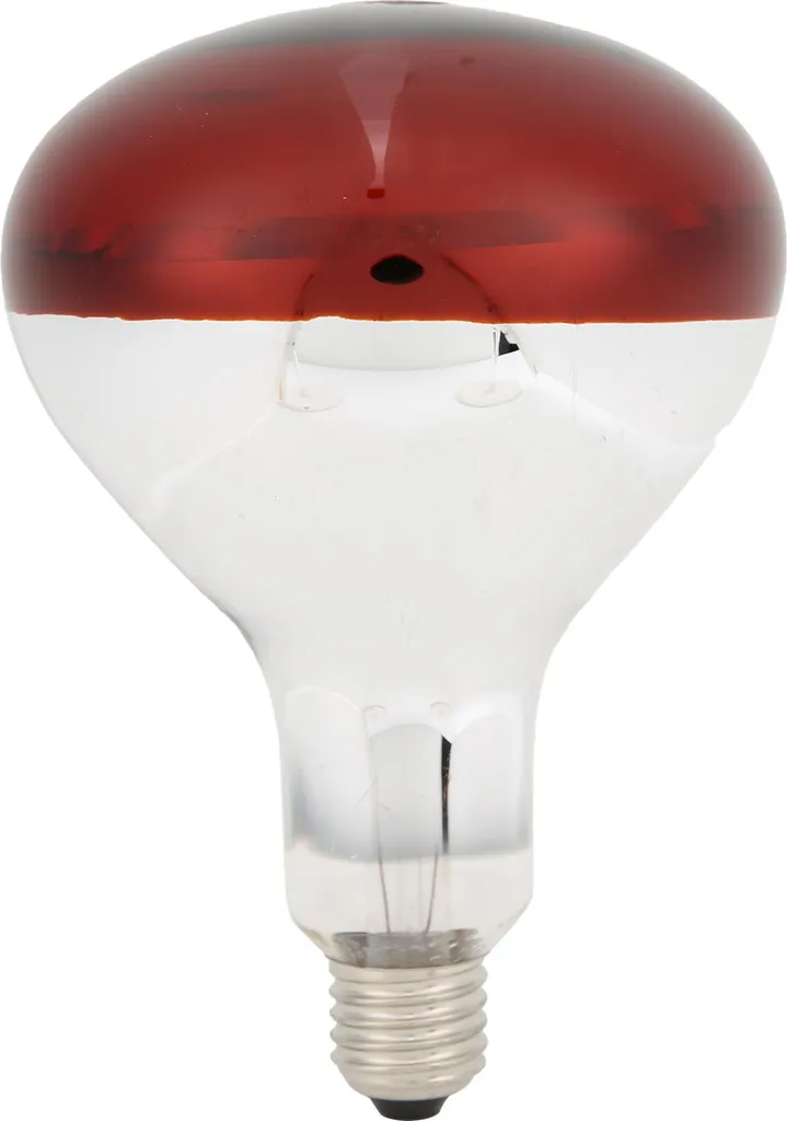Ampoule chauffante infrarouge 250W pour terrarium et élevage avicole
