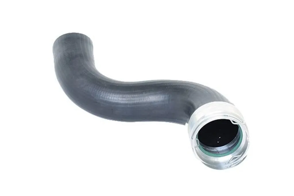 Bugiad 88560 Flexible d'air de suralimentation pour moteur turbo diesel