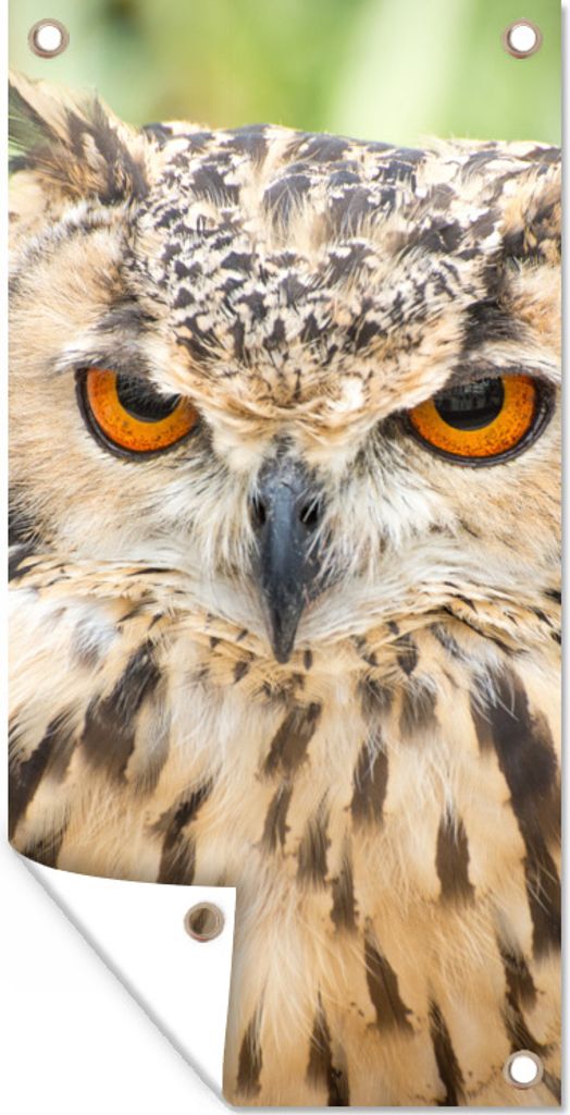 MuchoWow 80x160 cm Outdoor-Poster Gartendeko Sichtschutz Garten Poster für den Garten Ein prächtiger bengalischer Uhu in der schönen grünen L...