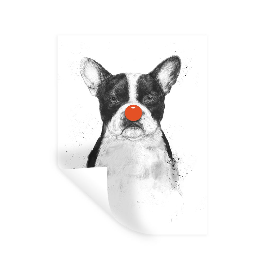 MuchoWow Wandtattoo Wandsticker Wandaufkleber Hund - Rot - Nase - Clown 30x40 cm Selbstklebend und Repositionierbar - Sticker - Dekorfolie