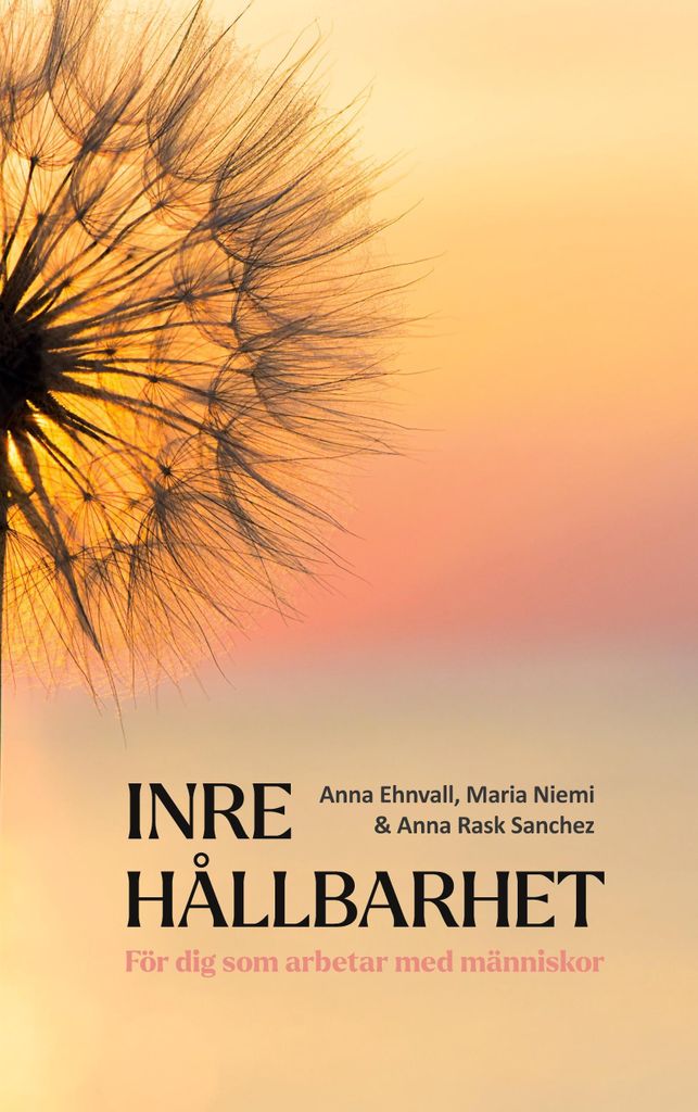 Inre hållbarhet