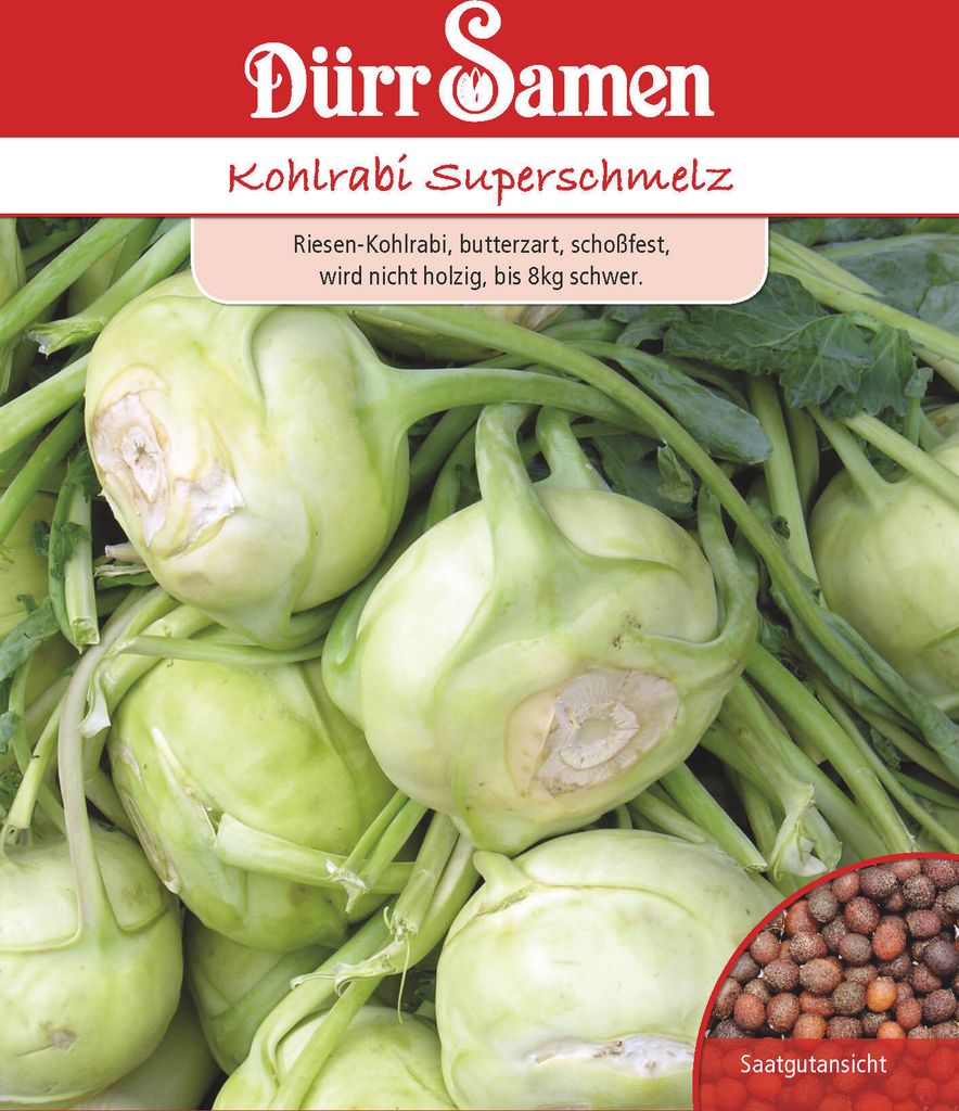 Kohlrabi Superschmelz | Kohlrabisamen von Dürr Samen