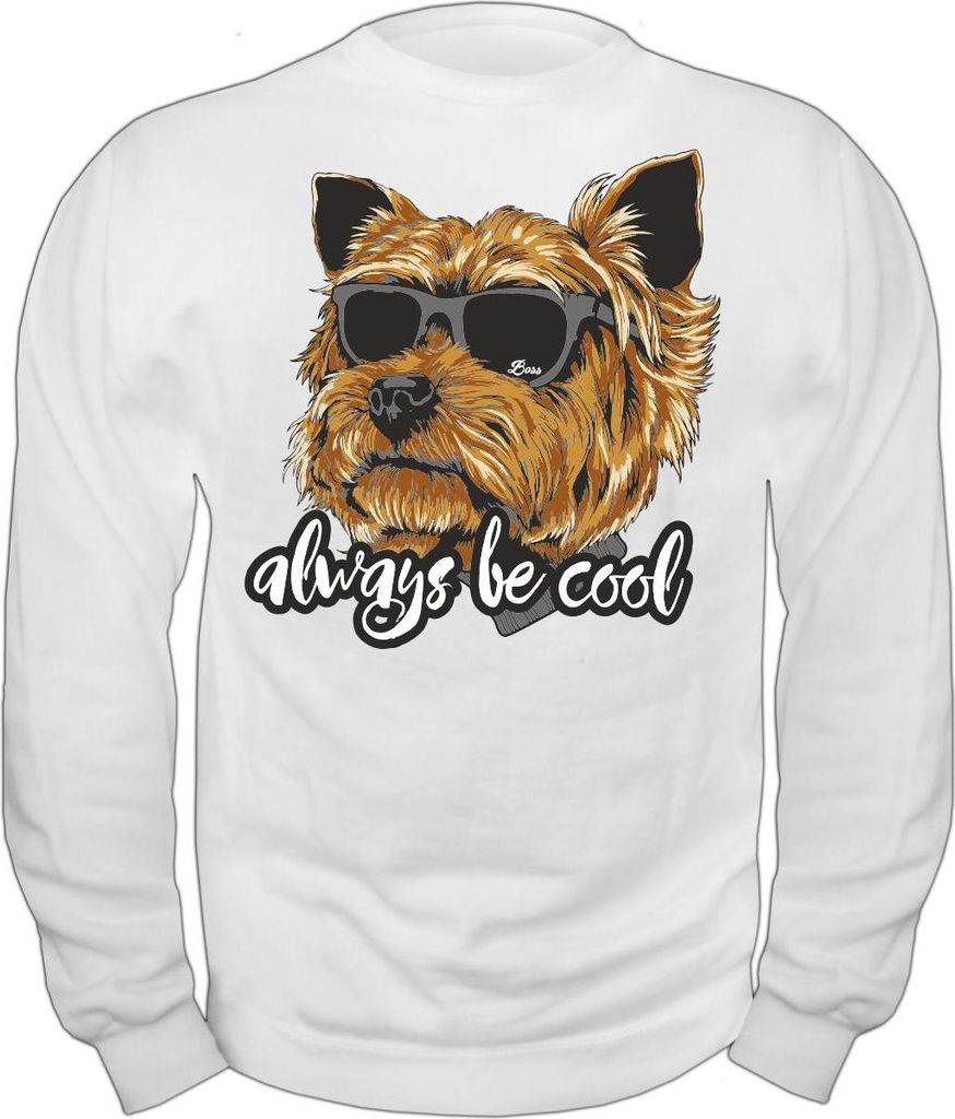 Herren Sweatshirt Yorkshire Terrier always be cool