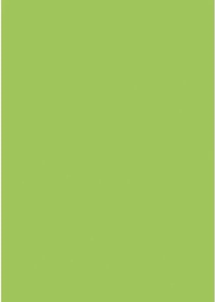 Papier A4 vert clair pour organisation de dossiers et classement bureau - 4