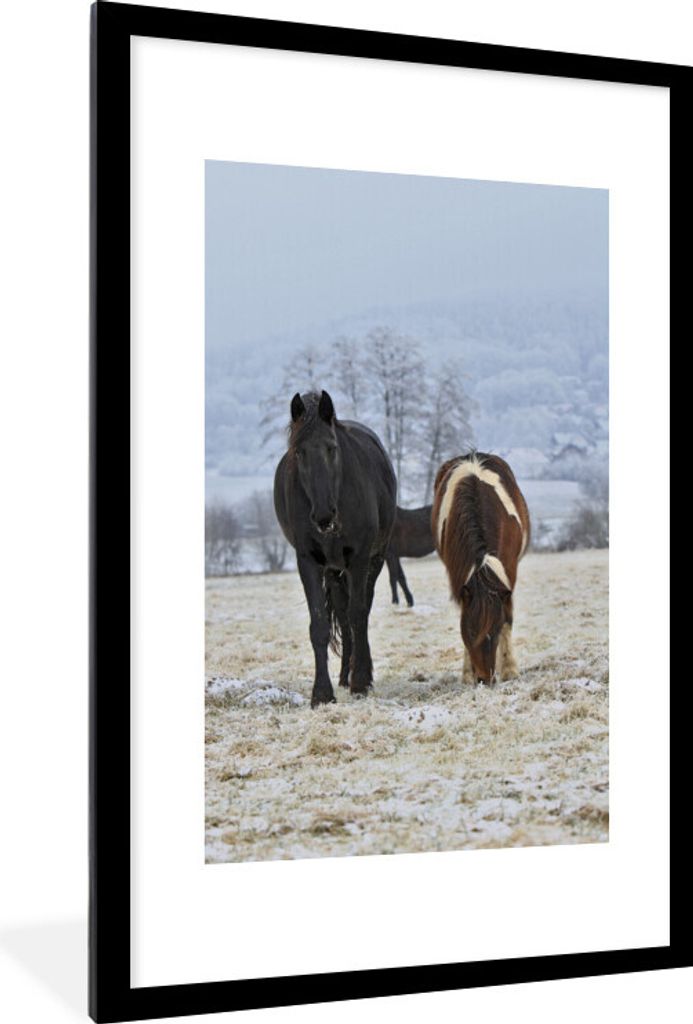 MuchoWow® Gerahmtes Poster Pferde - Schnee - Weiß 60x90 cm Produktbild 
