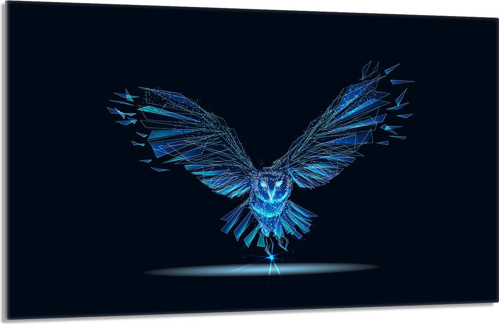 Glasherdschutzplatte 80x52 Bird