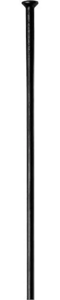 Rayon 296 mm DT Swiss Champion 2.0 Straightpull noir pour montage VTT
