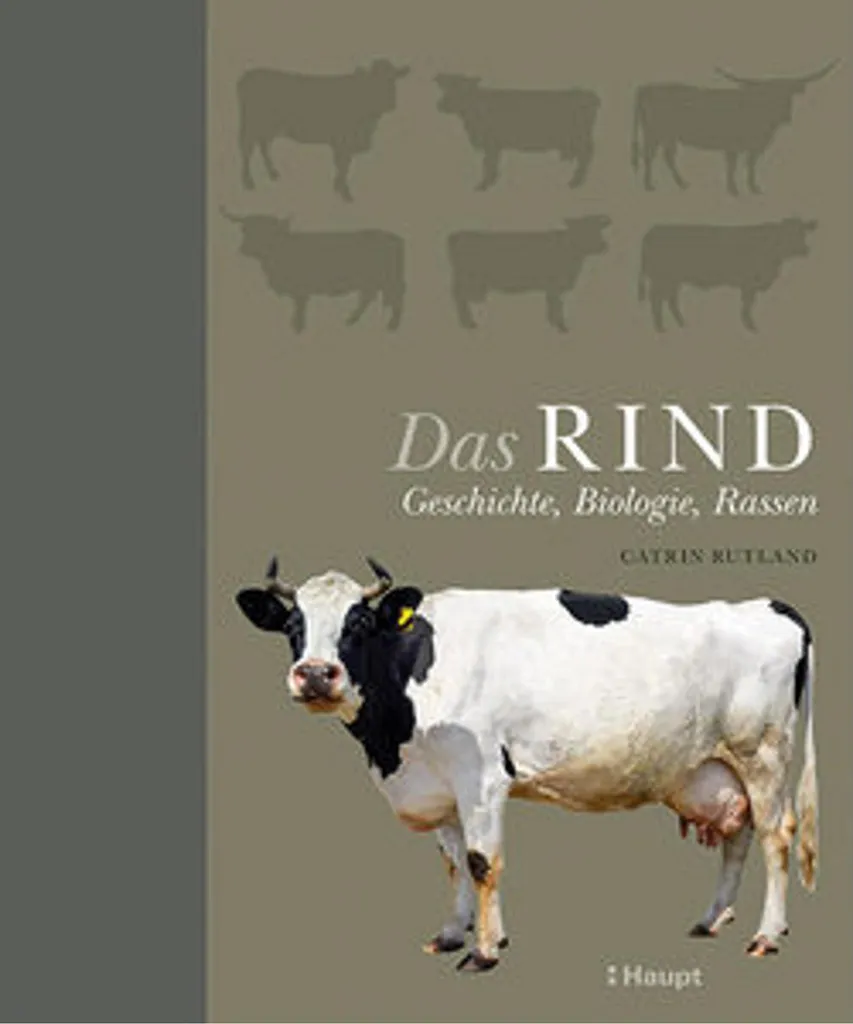 Bœuf Das Rind tendre garanti sans nerfs pour enfants paquet familial 3kg