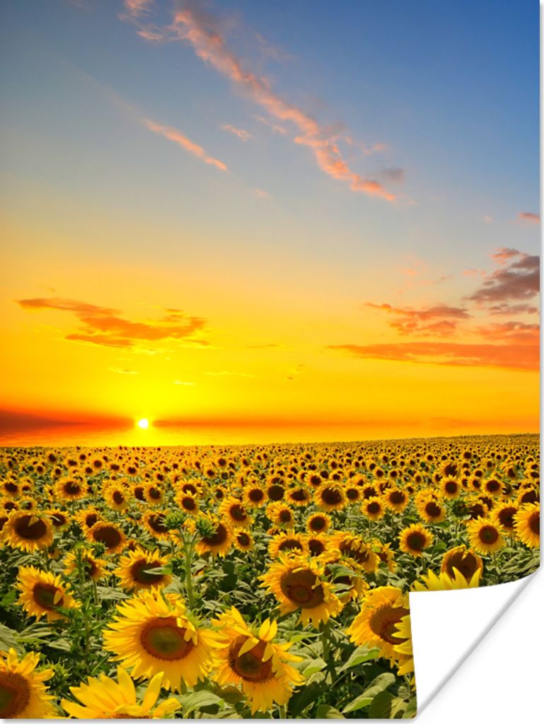 MuchoWow Poster Blumen - Sonnenblume - Sonnenuntergang - Nacht - Orange 60x80 cm - Schlafzimmer Dekoration