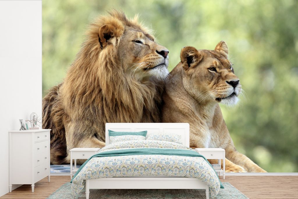 MuchoWow Fototapete für Wohnzimmer oder Schlafzimmer Wandtapete Vinyl Motivtapete Wildtiere - Natur - Liebe - 450x300 cm - Gemusterte