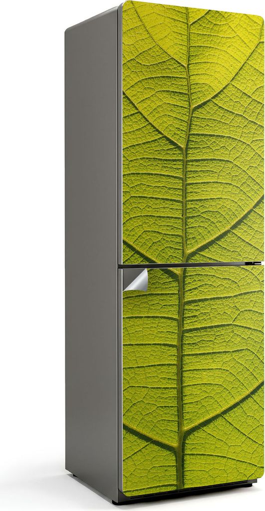 Detail eines Pflanzenblattes – Kühlschrank Aufkleber – Klebefolie Kühlschrank – Kühlschrank Nachbildung – Kühlschrankfolie selbstkleben...