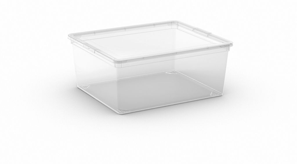 KIS Kunststoffbox C Box M Transparent