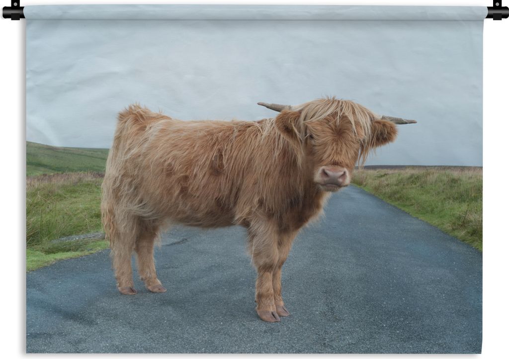 MuchoWow Wandteppich Wandbehang Scottish Highlander - Straße - Gras 120x90 cm Tapisserie Dekoration Wandtuch - Wohnen - Aufhänger für die Wand