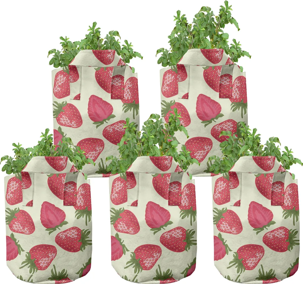 Sacs de plantation en tissu 5 gallons pour fraises et fruits - 5 pcs
