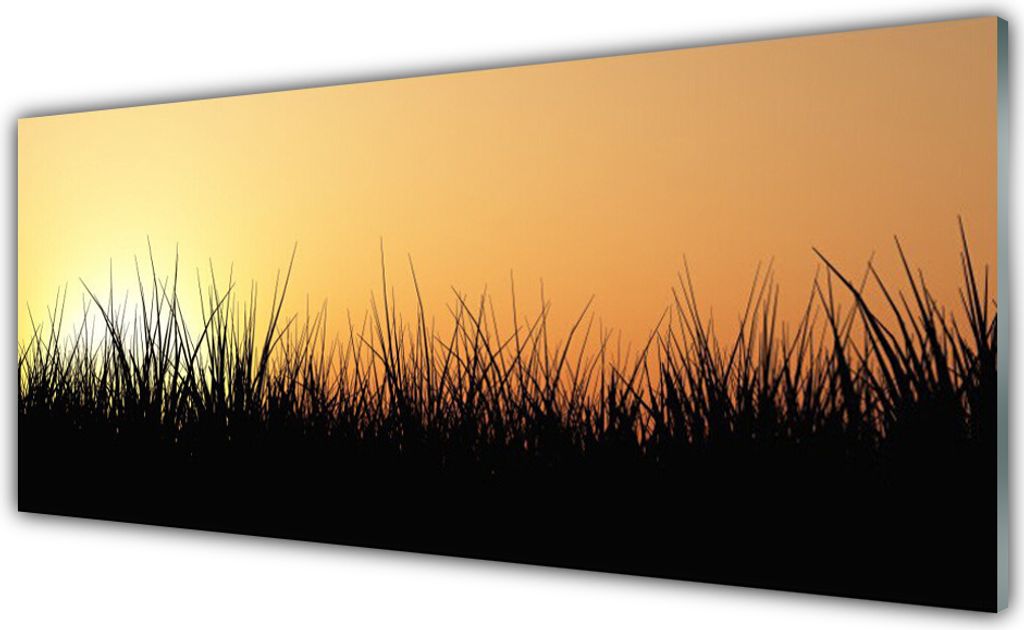 Glasbilder 125x50 Wandbild Druck auf Glas Gras Natur