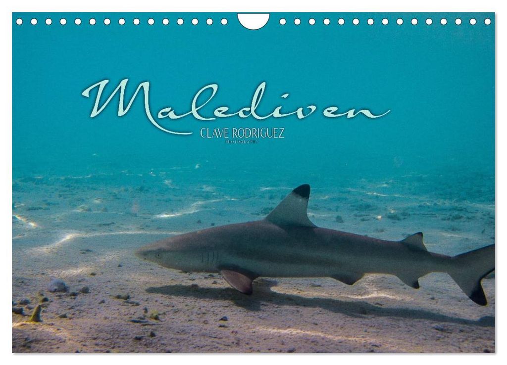 Unterwasserwelt der Malediven I (Wandkalender 2027 DIN A4 quer), CALVENDO Monatskalender