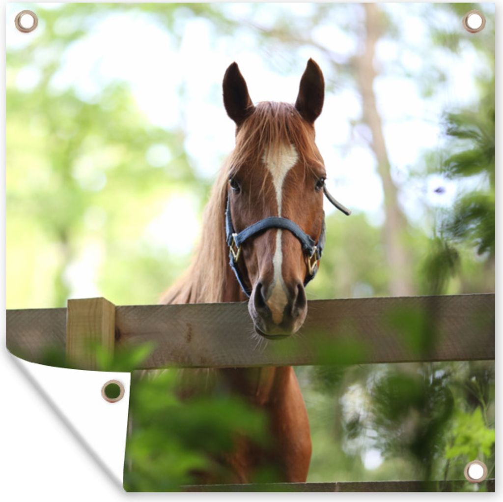 MuchoWow 50x50 cm Outdoor-Poster Gartendeko Sichtschutz Garten Poster für den Garten Pferd - Natur - Zaun