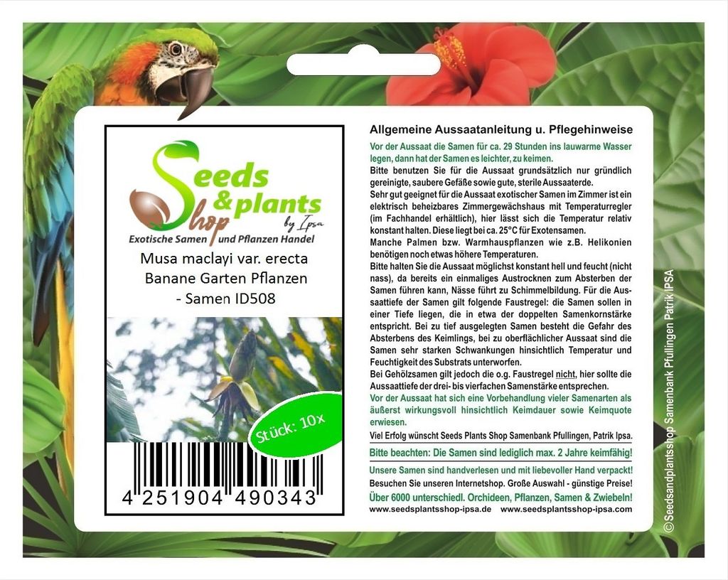10x Musa maclayi var. erecta Banane Garten Pflanzen - Samen ID508