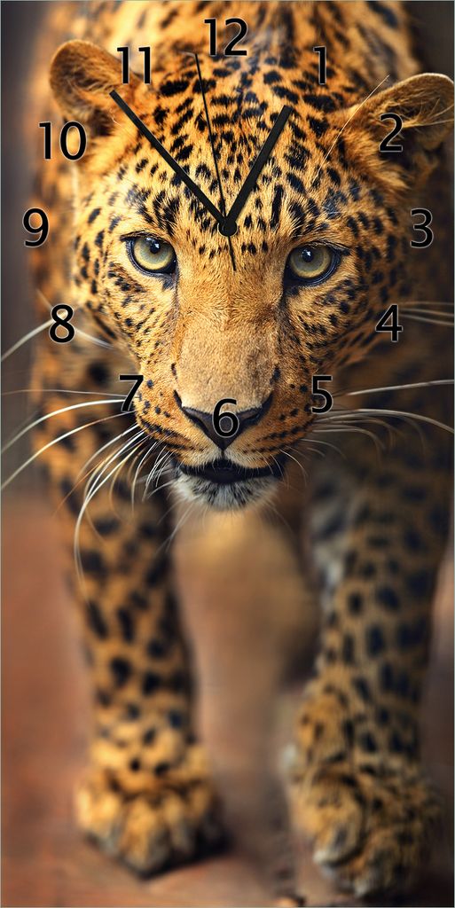 Wallario Design Wanduhr Leopard in Nahaufnahme beim Laufen aus Echtglas, Größe 30 x 60 cm