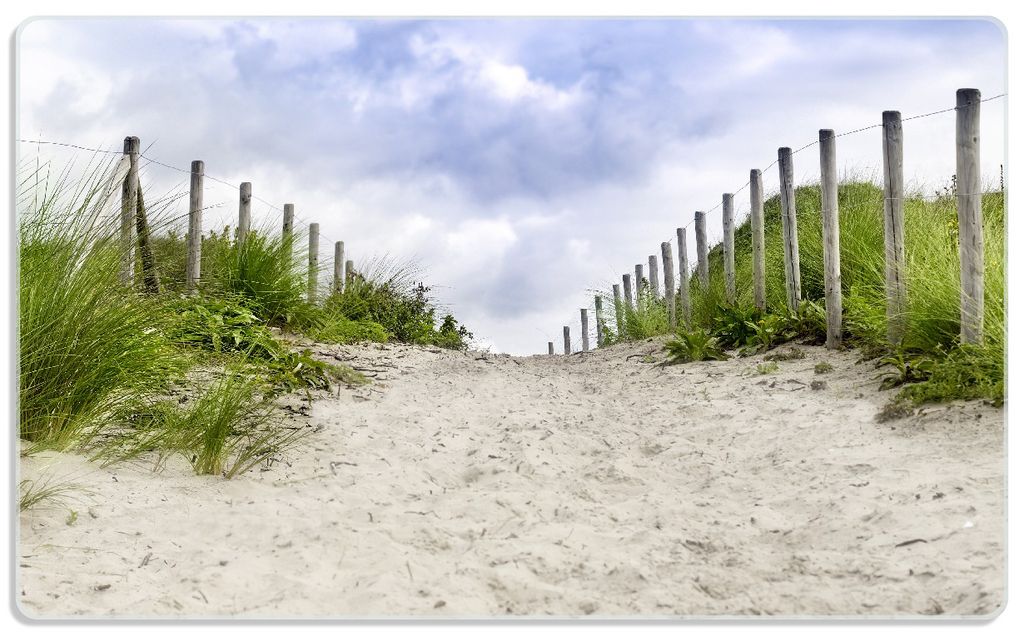 Wallario Frühstücksbrettchen aus Glas, je 14 x 23 cm, mit rutschfesten Füßen, Motiv Auf dem Weg zum Strand durch Dünen