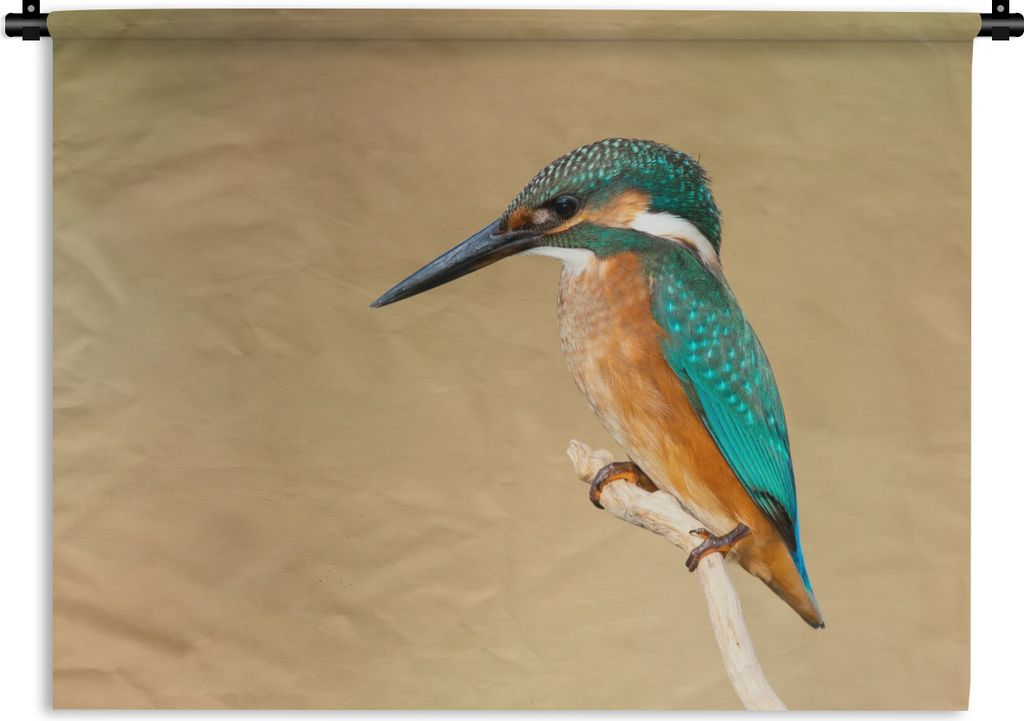 MuchoWow Wandteppich Wandbehang Eisvogel - Tiere - Vogel 90x67.5 cm Tapisserie Dekoration Wandtuch - Fototeppich - Wand-Skulpturen