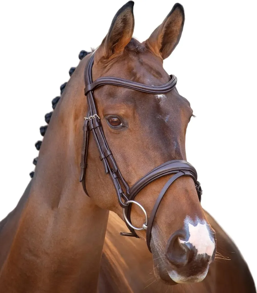 Filet de rechange marron Velociti Lusso XFull en cuir de qualité