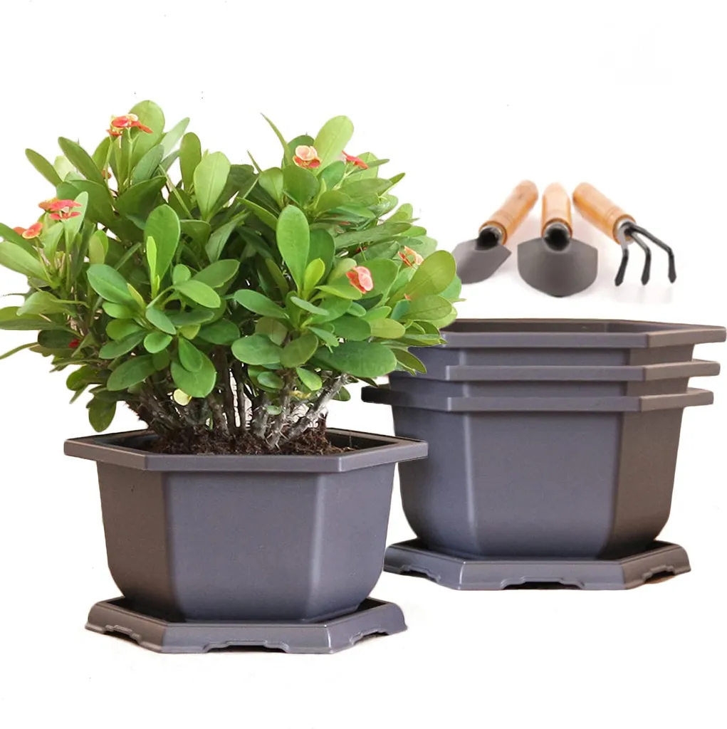Lot de 4 Pots à Bonsaï 25cm avec Soucoupe et Outils, Bac Plastique Noir