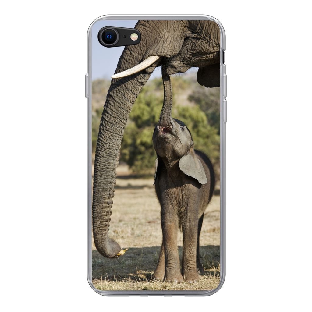 MuchoWow Handyhülle Schutzhülle Hülle für iPhone SE 2022 Elefant - Tiere - Gras - Natur Silikon Softcase Handy Hülle - Schutzhülle