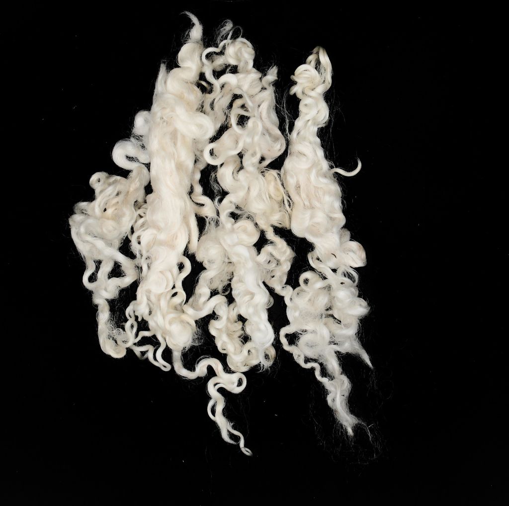 Wensleydale Schaflocken 10-20cm Locken / Wollstapel Produktbild 