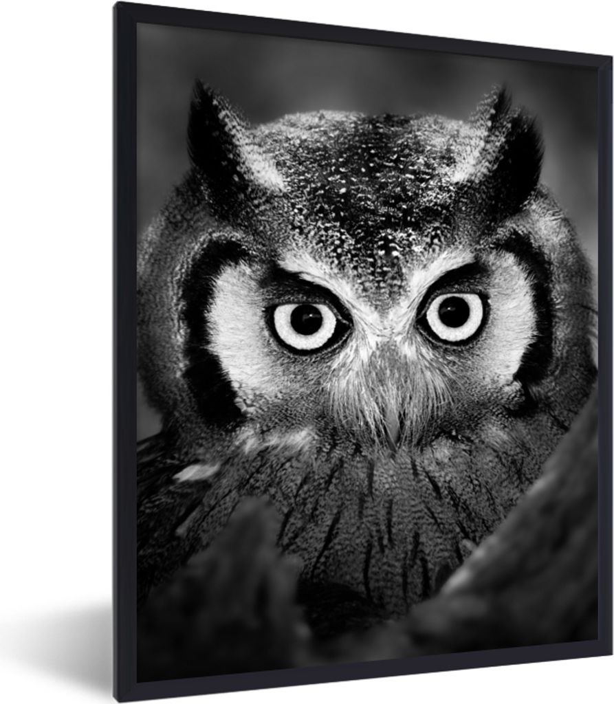 MuchoWow Gerahmtes Poster Vogel - Eule - Porträt - Schwarz - Weiß 30x40 cm - Poster mit Schwarzem Bilderrahmen Wandposter Rahmen Foto Bilder - ...