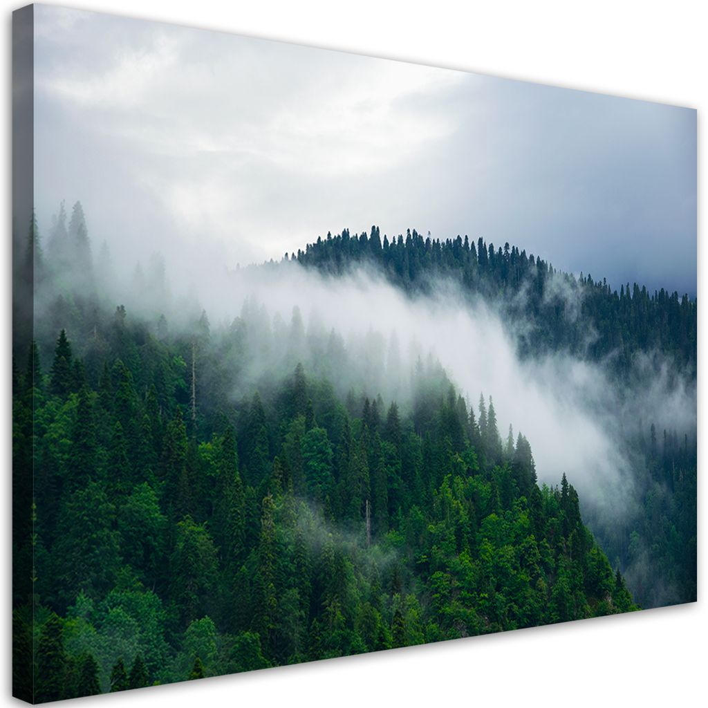 Leinwandbild Wald im Nebel 90x60 Feeby Grün bild für die wand bereit zum aufhängen