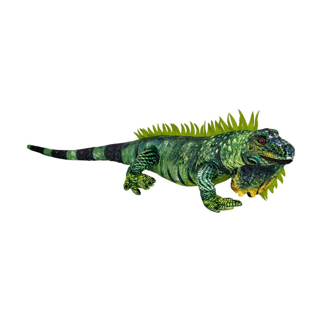 Grüner Leguan - Nature Zoom Wild