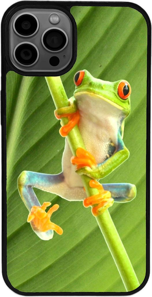 TPU Silikon Hülle für iPhone 16 Pro Handy Cover Case Schutzhülle Handyhülle Bumper MOTIV 268 Frosch Grün