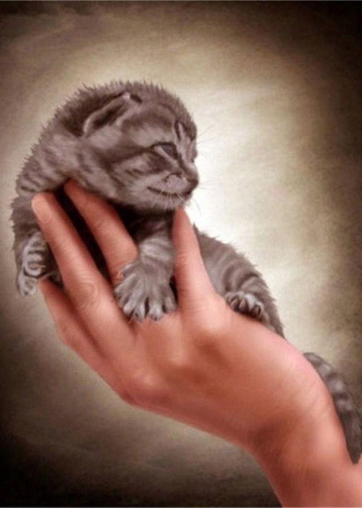 Diamond Painting Vollbild 50x70 cm mit runden Steinen