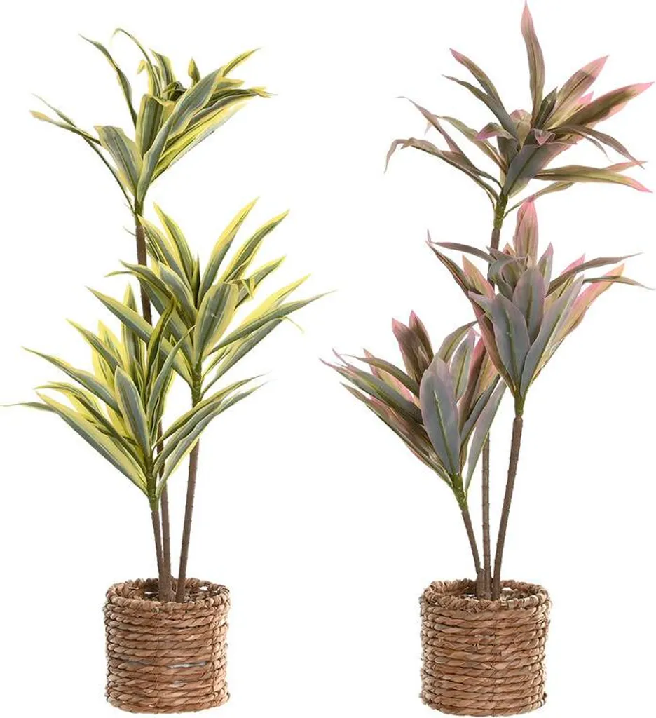 Plante Artificielle Home ESPRIT en Fibre de Polyéthylène 75 cm (Lot de 2)
