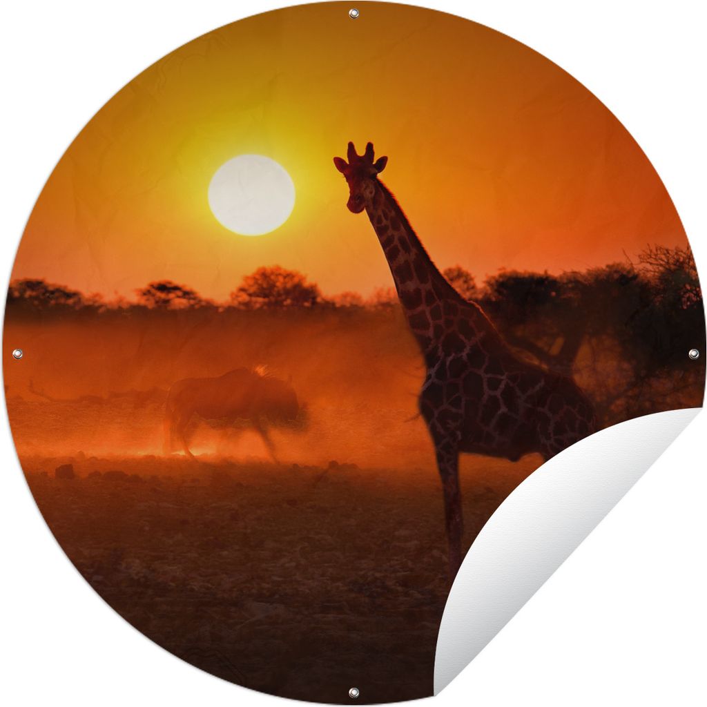 MuchoWow Gartenposter Outdoor-Poster Rund Giraffe - Sonne - Savanne Ø 120 cm Gartendeko Rundes Poster draußen