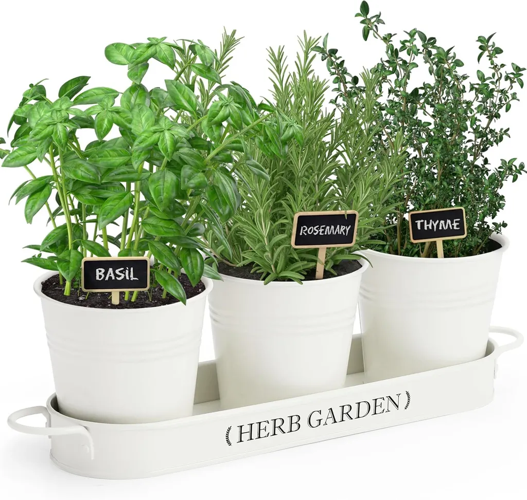 Fioriera per Erbe Aromatiche Perfnique - Organizzazione Cucina Style