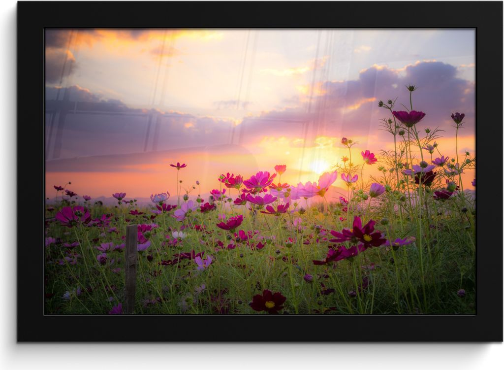 MuchoWow MuchoWow Gerahmtes Poster Sonnenuntergang - Blumen - Rosa - Natur - Grün 30x20 cm - Poster mit zchwarzem Bilderrahmen - Kunstdruck - ...