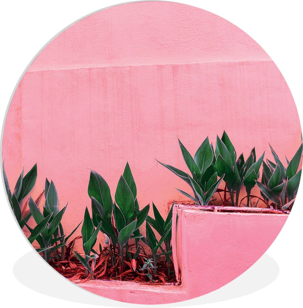 MuchoWow Rundes Wandbild - Runde Bilder Pflanzen - Sommer - Farbe Ø 60 cm Kreis Wanddekoration Kunststoff - Wandkreis - Wandschmuck - Wand Kreis...