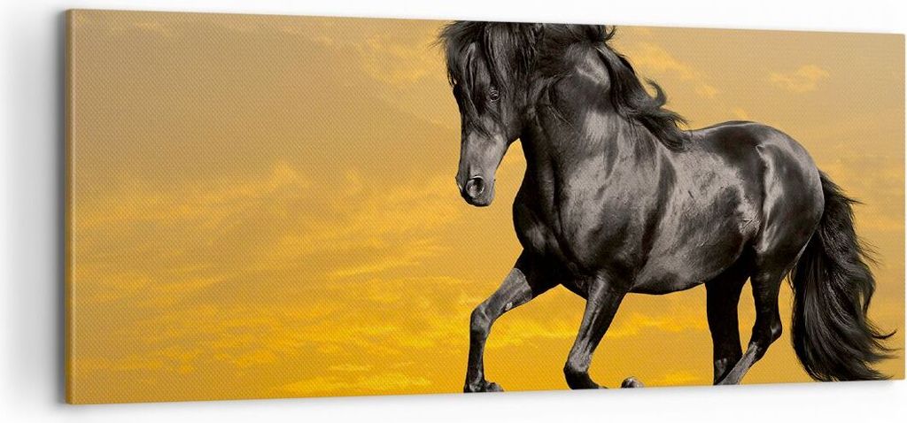 Bild auf Leinwand - Leinwandbild - Tiere Pferd Laufen Wiese - 100x40cm - Wand Bild - Wanddeko - Leinwanddruck - Bilder - Kunstdruck - Wanddekoratio...