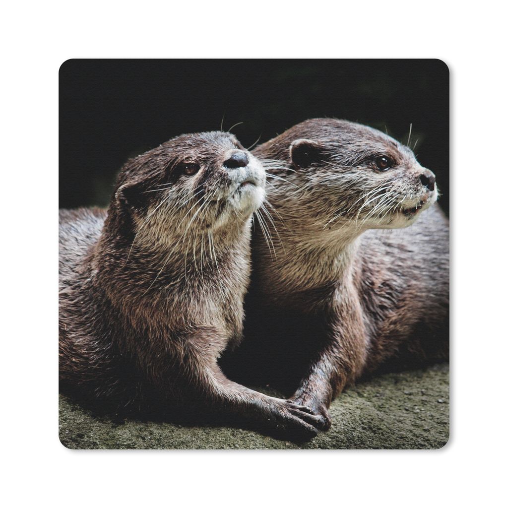 MuchoWow Mauspad Mousepad Otter halten sich gegenseitig 20x20 cm - Mousepads - Maus Mat - Pad - Mausunterlage - Desk Mat - Bureauartikeln