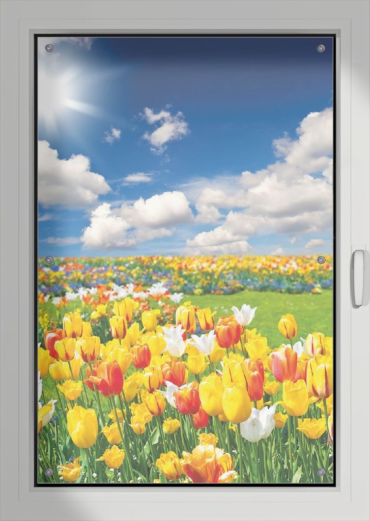 Wallario Lichtschutzbild, Dekorativer Sichtschutz Sonnenschutz 76 x 115 cm mit Motiv: Tulpenwiese unter blauem Himmel - Verdunklung ohne Bohren