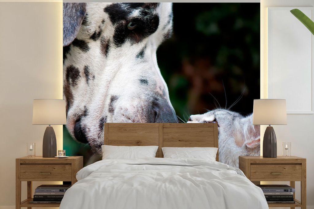 MuchoWow Fototapete für Wohnzimmer oder Schlafzimmer Wandtapete Vinyl Motivtapete Katze - Hund - Deutsche Dogge - 280x280 cm - Hintergrundbild