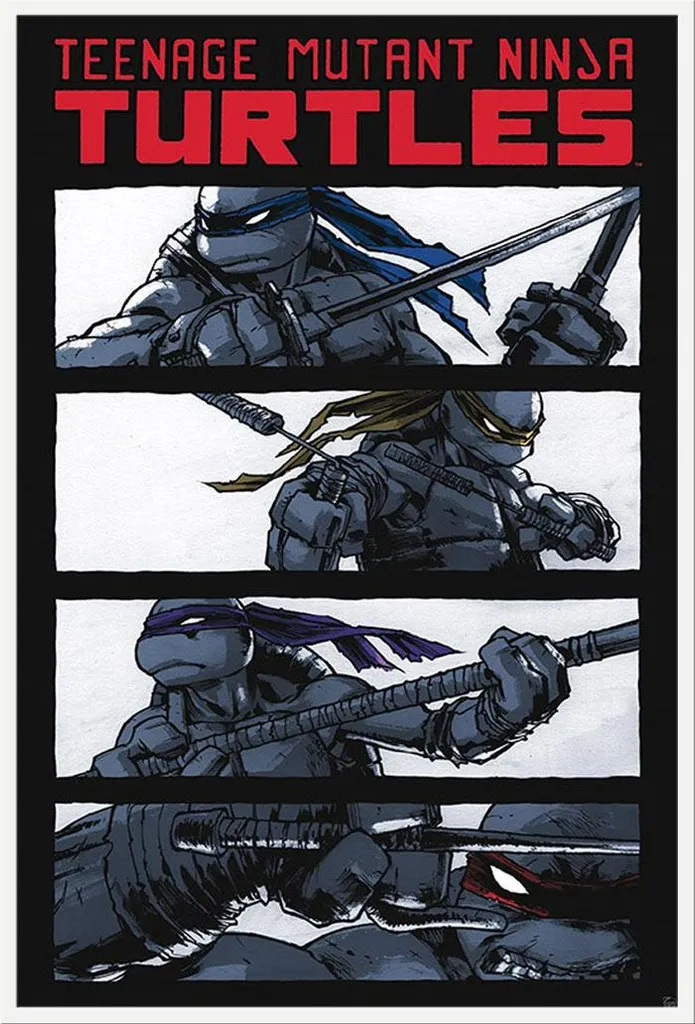 Poster TMNT Encadré Prêt à Poser Cadre Shinsuke Blanc Vitre Acrylique