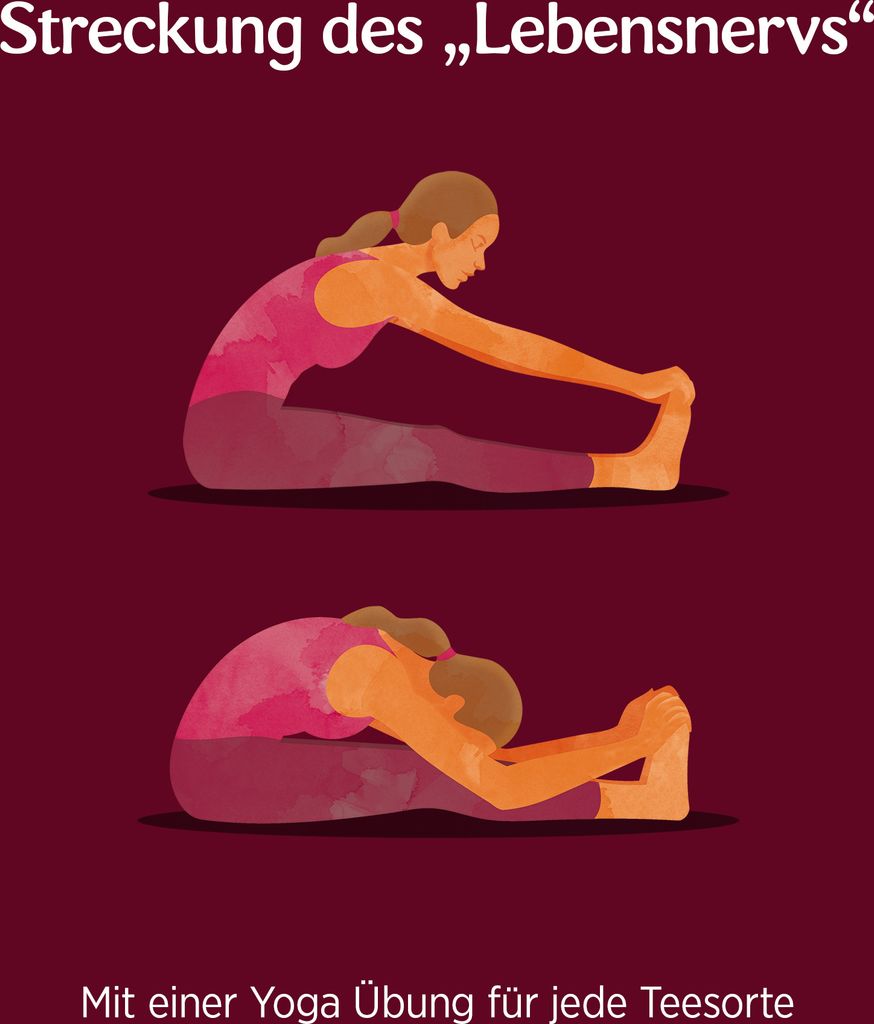 10 xYOGI TEA Frauentee | 10 x 30,6g Produktbild 4