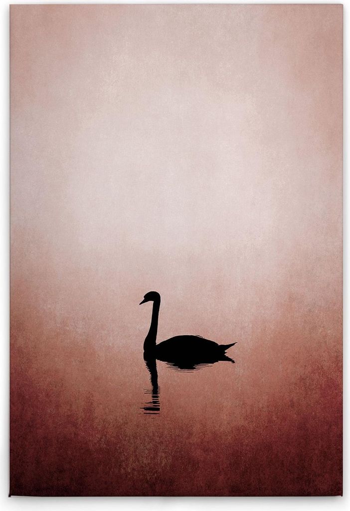 TADESSI Leinwandbild Schwan Rosa Rot - Wandbild 60 x 90 cm - Kunstdruck auf Leinwand in Rosa Schwarz - M1-No.50690